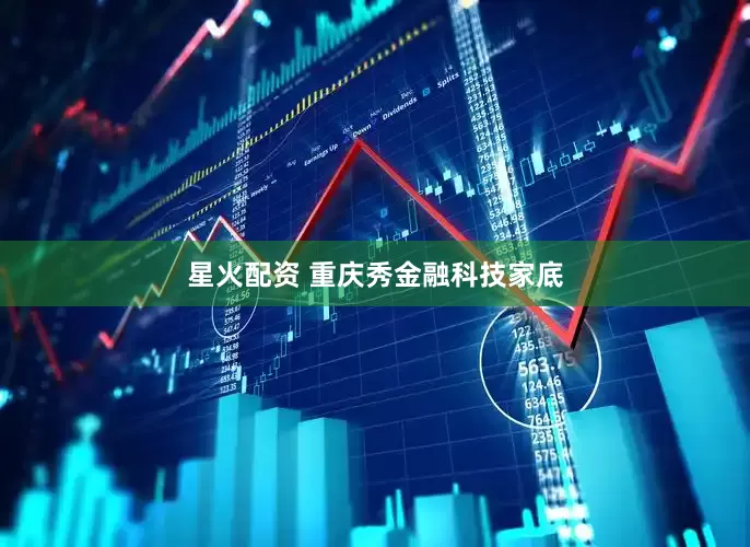星火配资 重庆秀金融科技家底